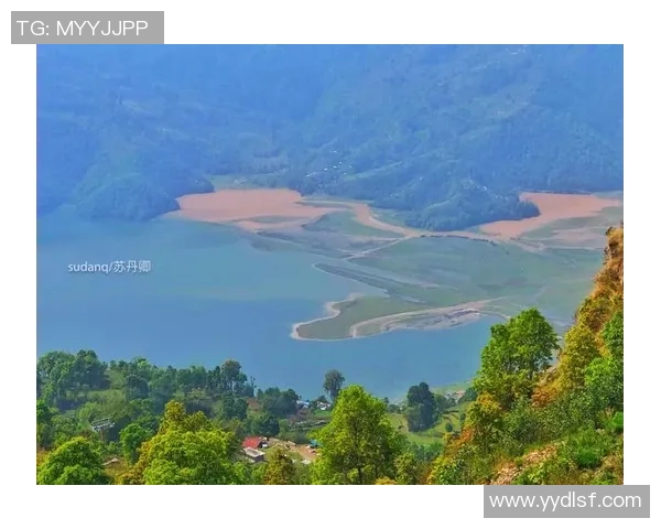 李伟谈攀岩心路历程与挑战分享，探索极限运动的魅力与坚持